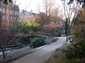  Petit ponrt en bois dans le parc du boulevard Gambetta